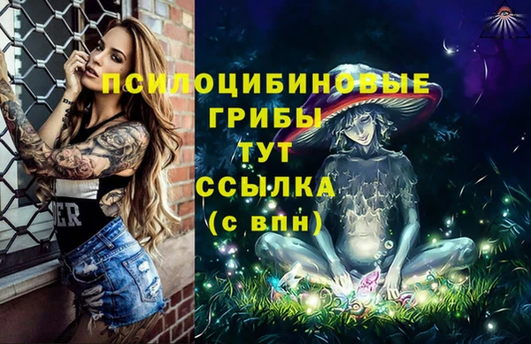марки lsd Богданович