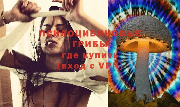 PSILOCYBIN Богородицк