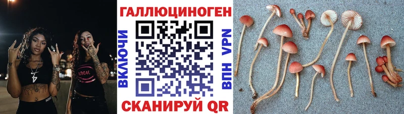 Галлюциногенные грибы MAGIC MUSHROOMS  Ейск 