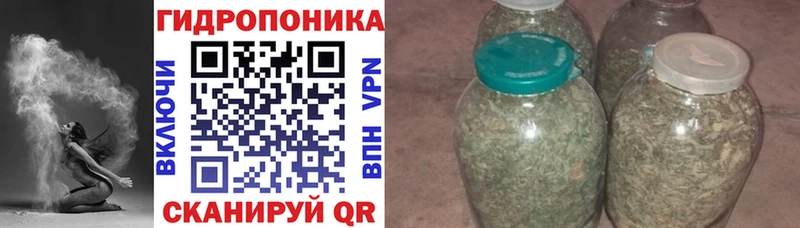 Конопля план  купить наркотики цена  Ейск 